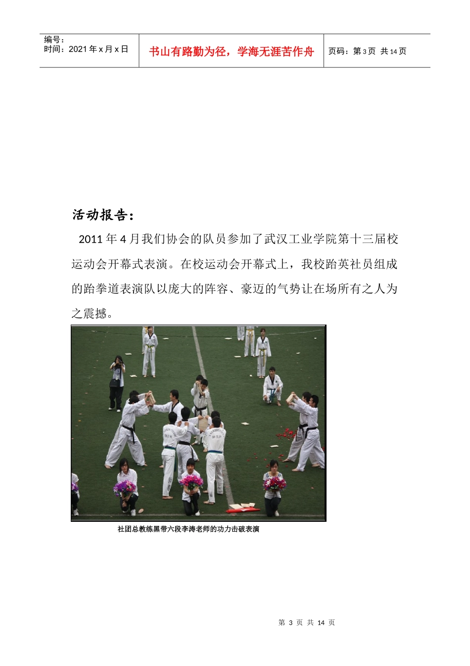 跆英年度报告_第3页
