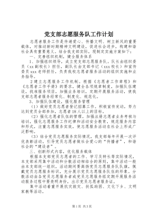 党支部志愿服务队工作计划