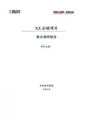 分销项目管理研究报告