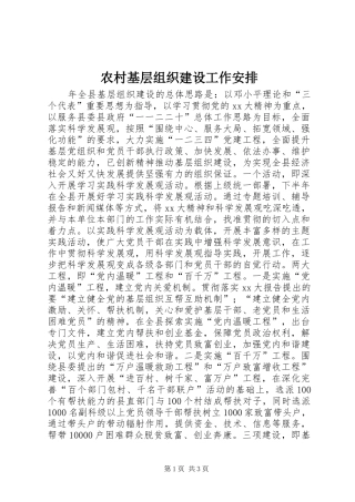 农村基层组织建设工作安排