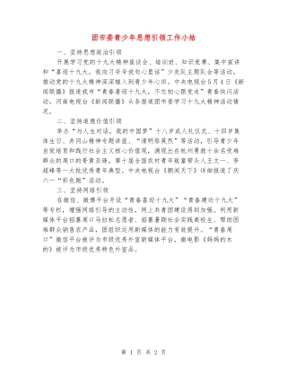 团市委青少年思想引领工作小结