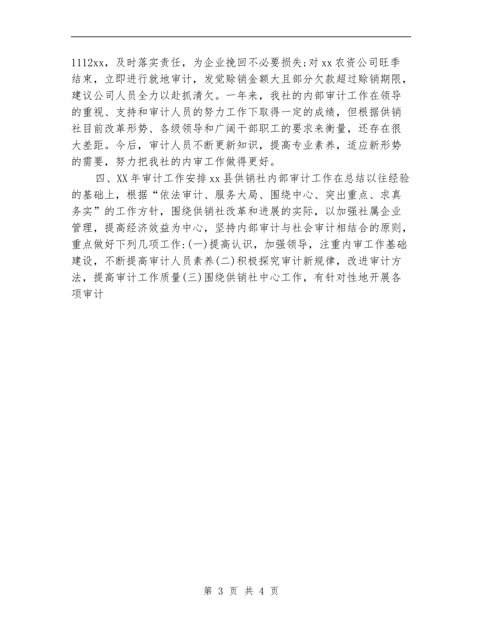 2024年度县供销社内部审计工作总结_第3页
