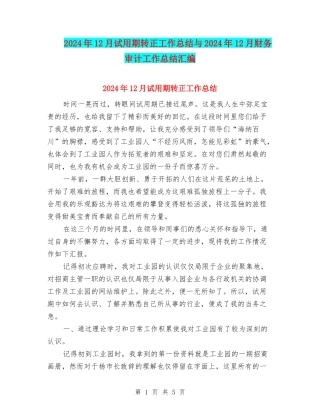 2024年12月试用期转正工作总结与2024年12月财务审计工作总结汇编