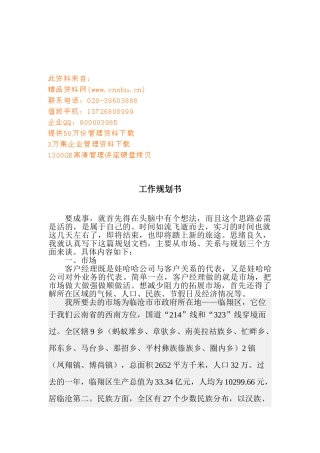 某某企业工作规划书