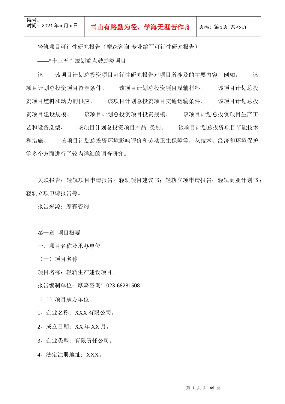 轻轨项目可行性研究报告(摩森咨询·专业编写可行性研究_第1页