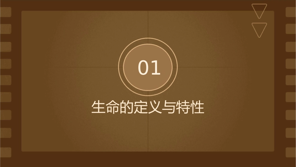 生命只有一次课件_第3页