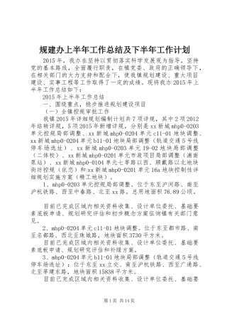 规建办上半年工作总结及下半年工作计划