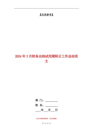 2024年3月财务出纳试用期转正工作总结范文