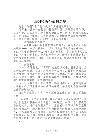 两纲和两个规划总结