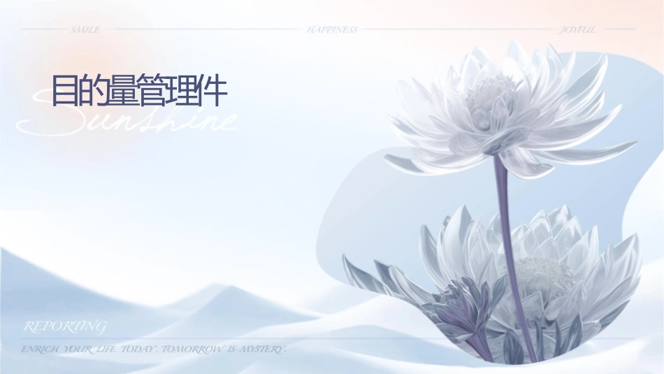 项目的质量管理课件_第1页