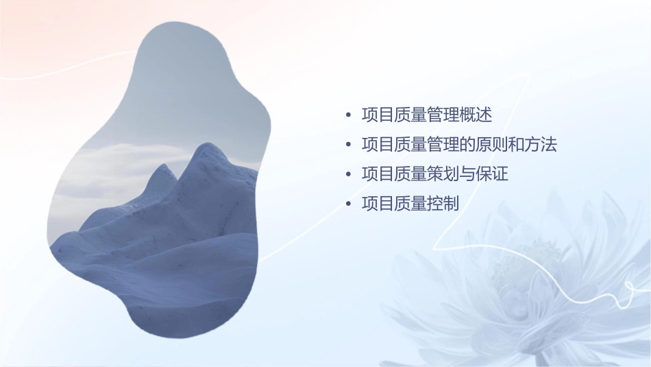 项目的质量管理课件_第2页