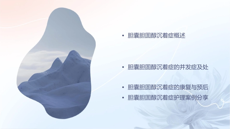 胆囊胆固醇沉着症护理课件_第2页