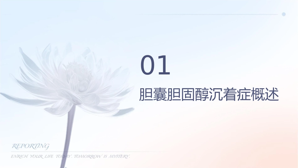 胆囊胆固醇沉着症护理课件_第3页