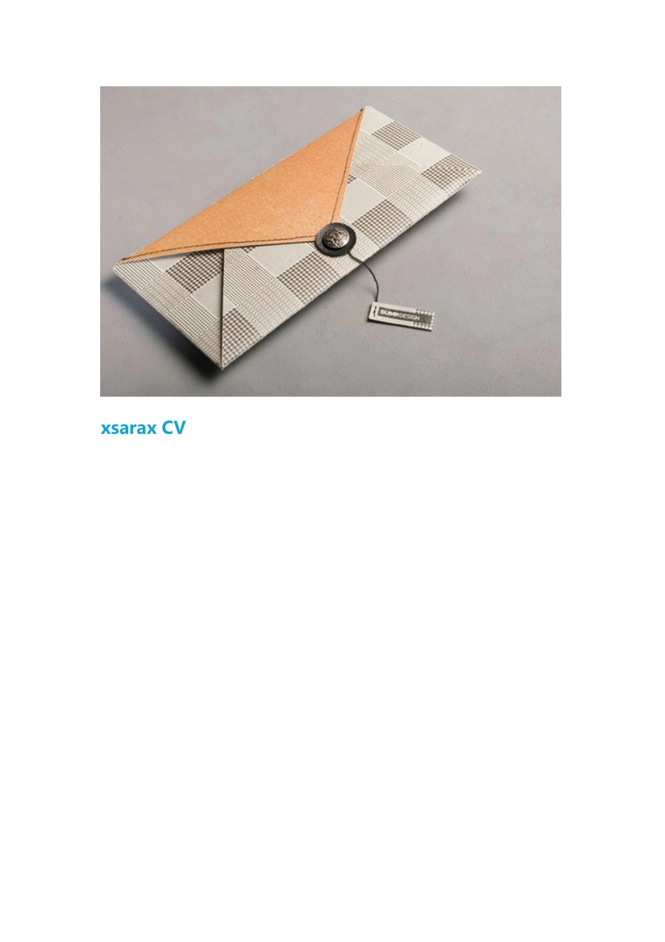 求职季50份简历设计,助你找到梦寐以求的工作_第3页