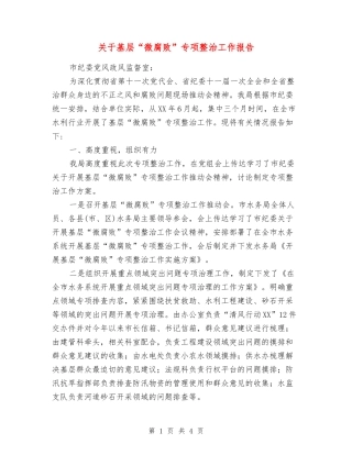 关于基层“微腐败”专项整治工作报告