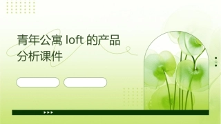 青年公寓LOFT的产品分析课件