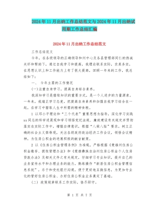 2024年11月出纳工作总结范文与2024年11月出纳试用期工作总结汇编