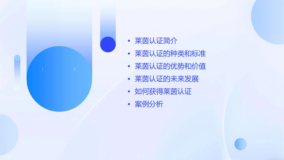 莱茵认证的认识课件_第2页