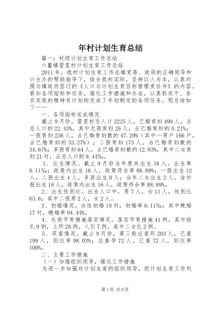 年村计划生育总结