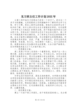 见习班主任工作计划20XX年