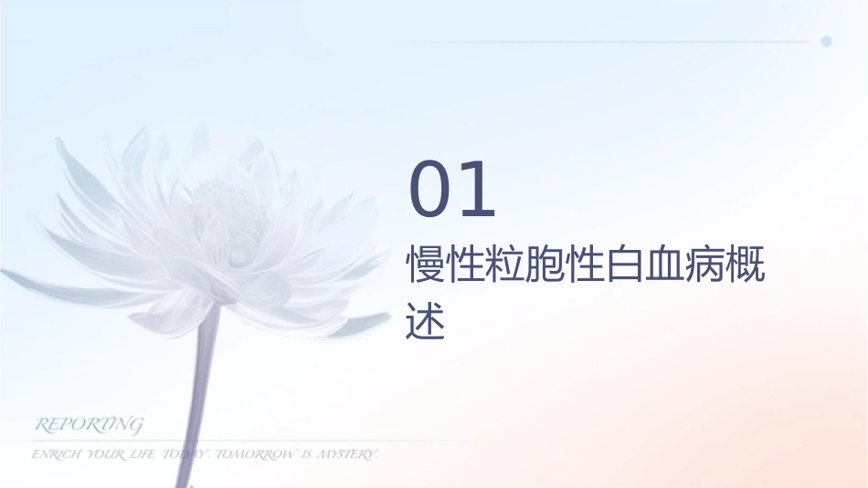 慢性粒细胞性白血病护理课件_第3页