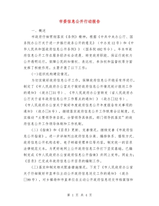 市委信息公开行动报告