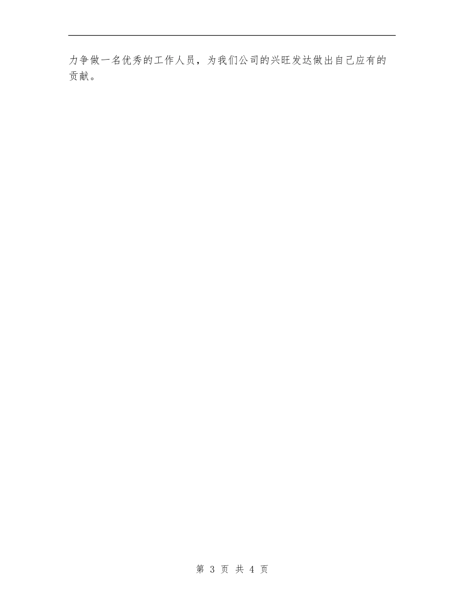 企划试用期工作总结最新_第3页