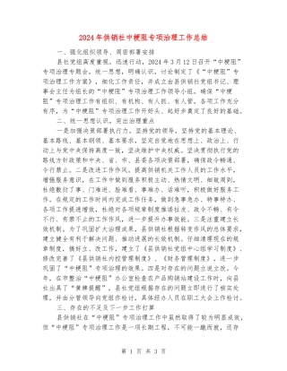 2024年供销社中梗阻专项治理工作总结