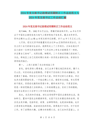 2024年党支部书记助理试用期转正工作总结范文与2024年党支部书记工作总结汇编