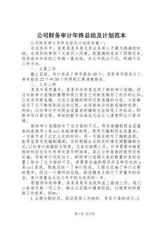公司财务审计年终总结及计划范本