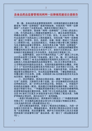 县食品药品监督管理局两网一规范建设自查报告