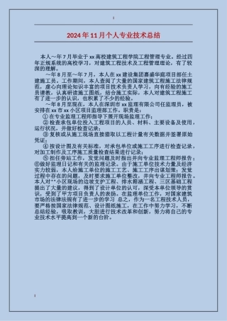 2024年11月个人专业技术总结