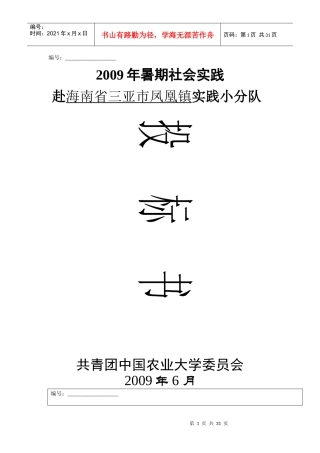 赴三亚社会实践小分队投标书