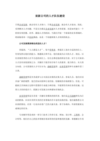 谈新公司的人才队伍建设