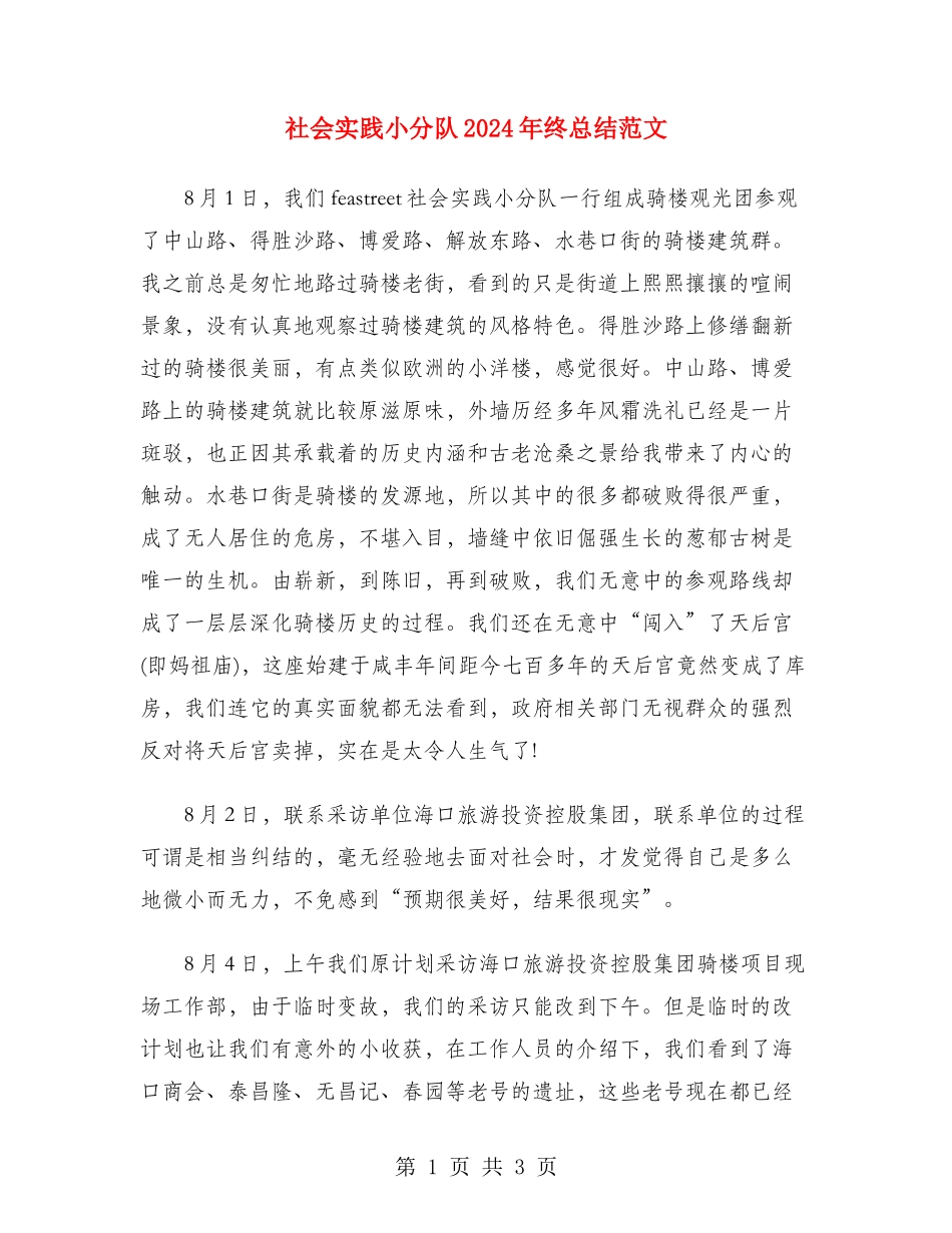 社会实践小分队2024年终总结范文_第1页