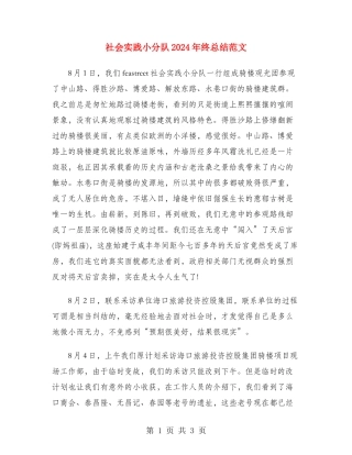社会实践小分队2024年终总结范文