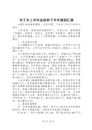 关于乡上半年总结和下半年规划汇报
