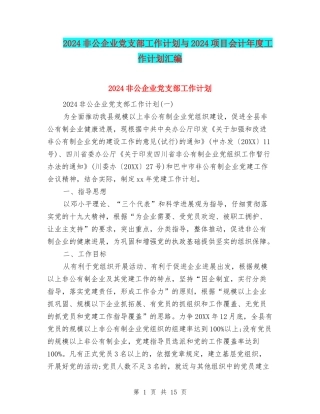 2024非公企业党支部工作计划与2024项目会计年度工作计划汇编