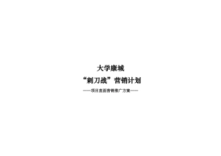 大学康城直面营销方案618