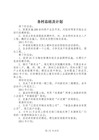 各村总结及计划
