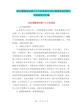 2024销售员年度个人工作总结与2024销售员试用期工作总结范文汇编