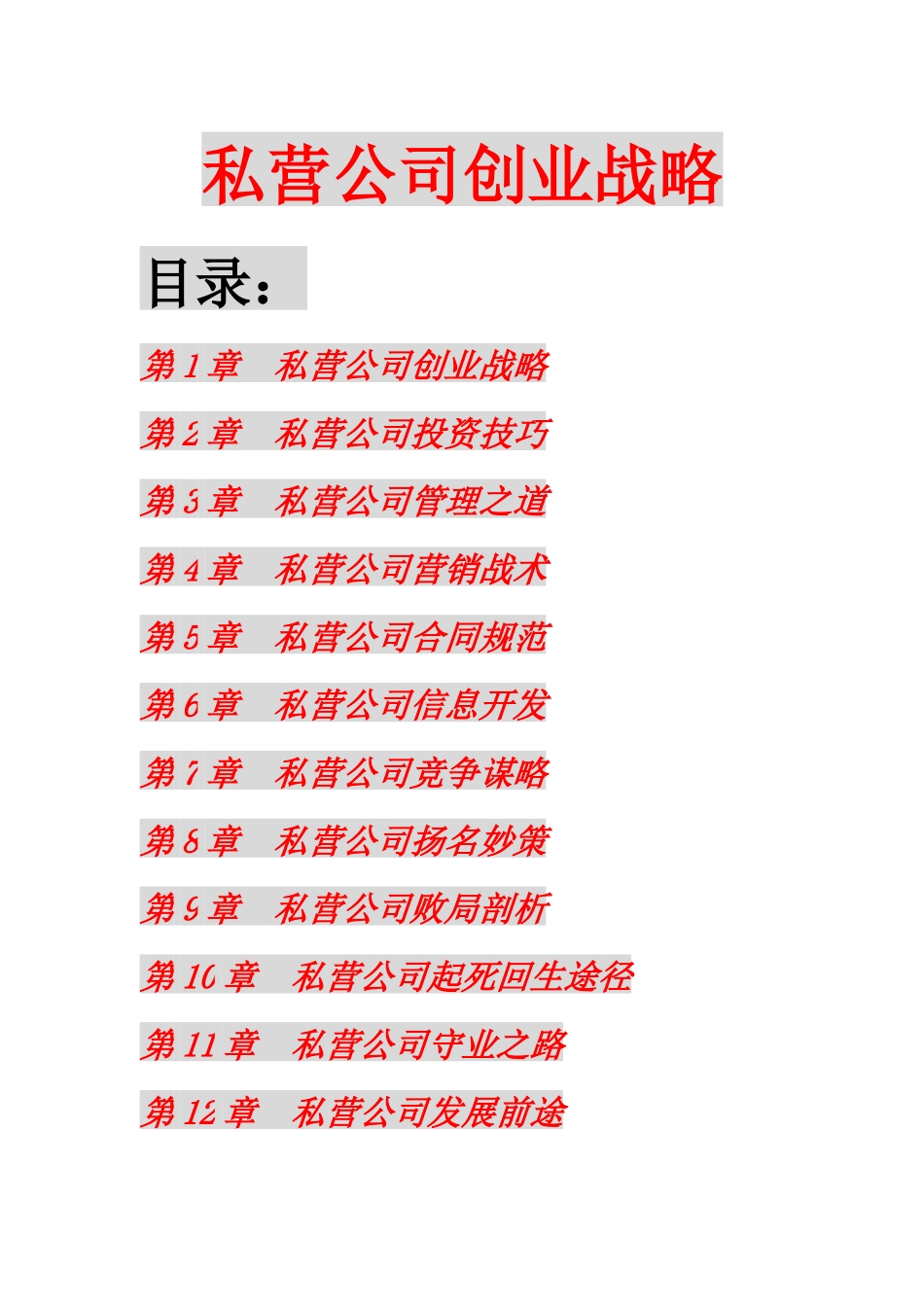 私营公司创业战略(189)(1)_第1页