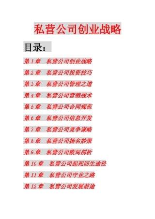 私营公司创业战略(189)(1)