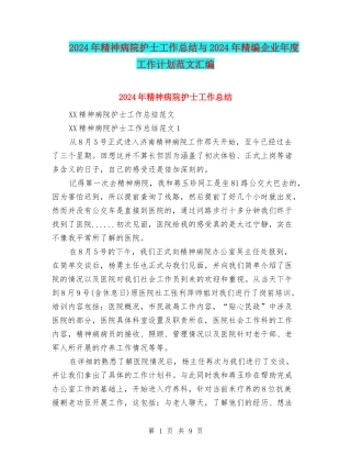2024年精神病院护士工作总结与2024年精编企业年度工作计划范文汇编
