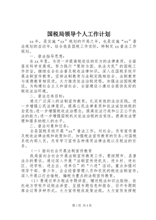国税局领导个人工作计划
