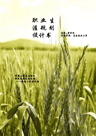 职业生涯规划设计书)
