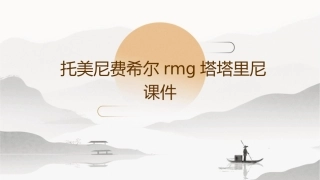 托美尼费希尔RMG塔塔里尼课件