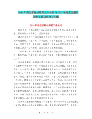 2024年淘宝客服试用期工作总结与2024年淘宝客服试用期工作总结范文汇编