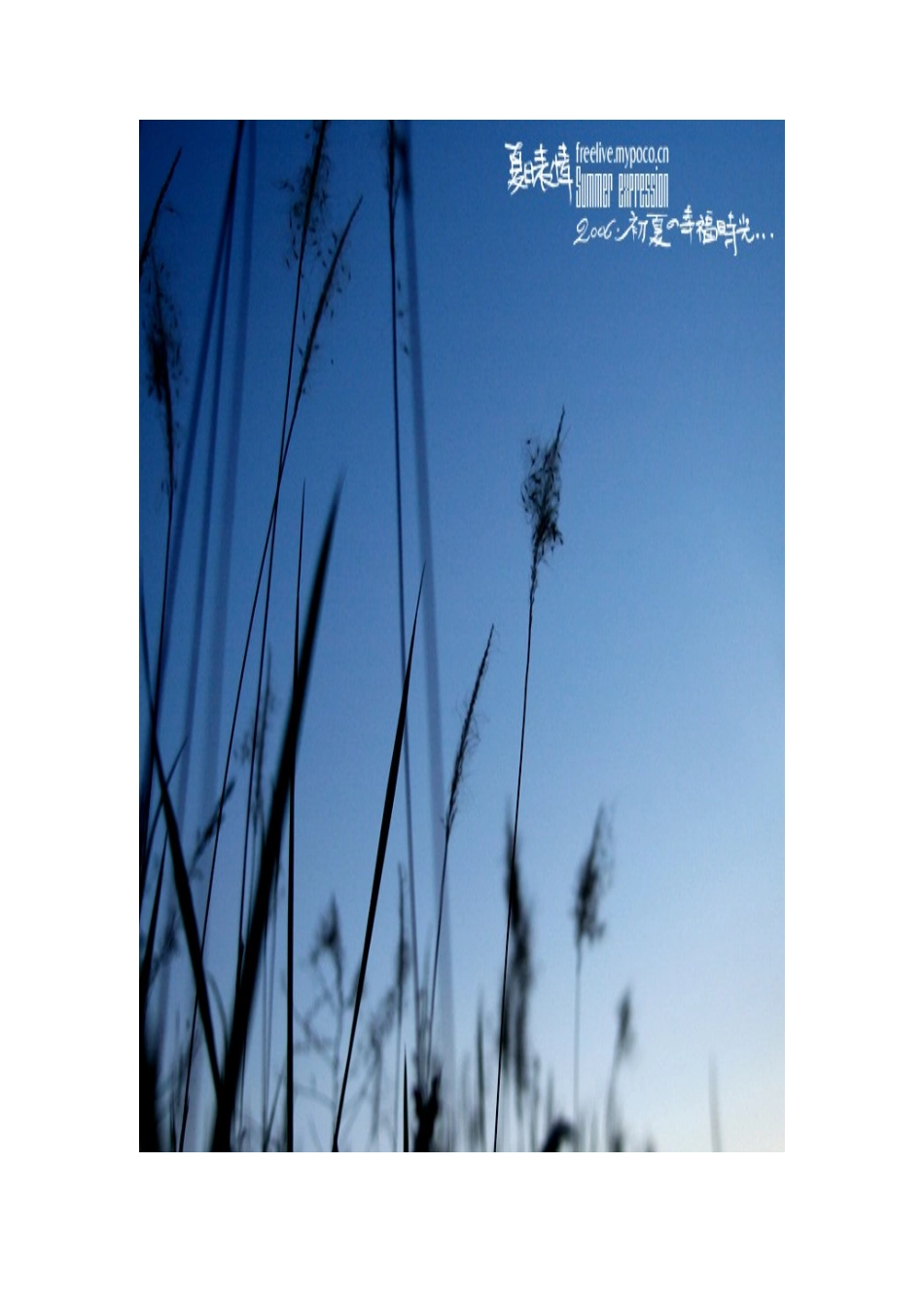 职业规划大赛作品_第1页