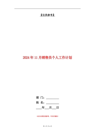 2024年11月销售员个人工作计划